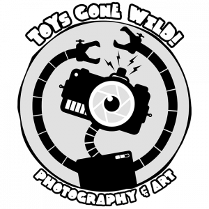 toysgonewild_logo_650px